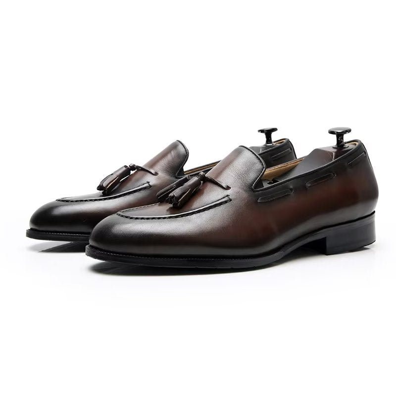 Miesten Juhlakengät Tyylikkäät Tassel Brogue -tyyliset Nahkaiset Oxford-kengät - Kahvi