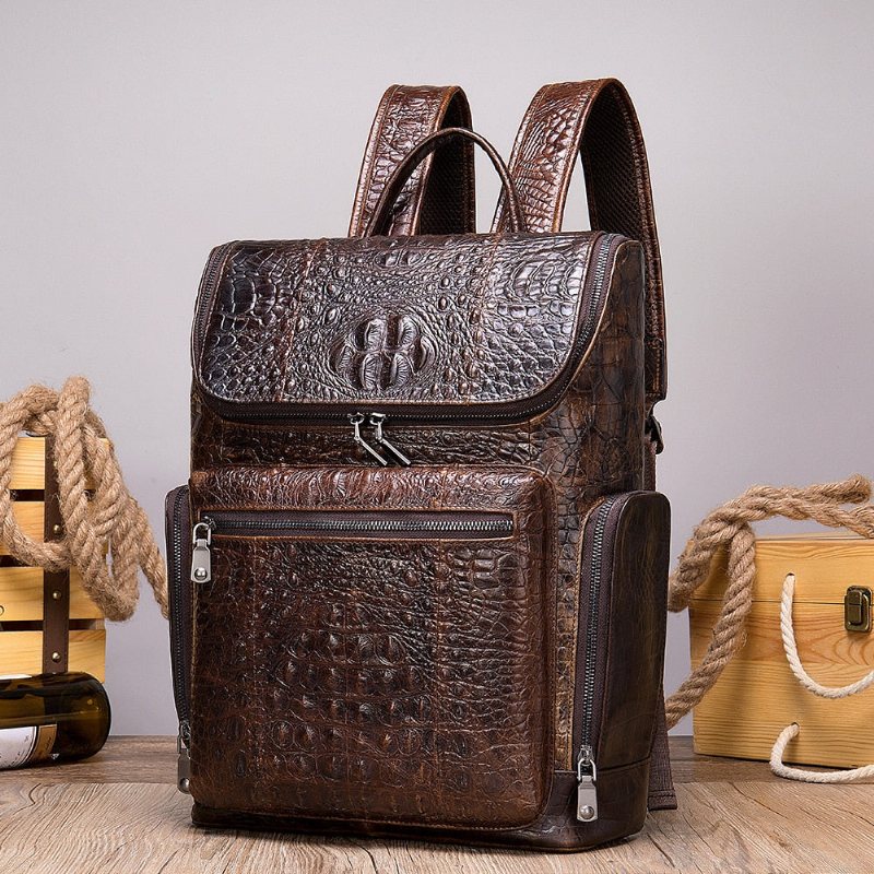 Miesten Reput Vintage Chic Alligator Leather Tech -matkareppu - Kahvi